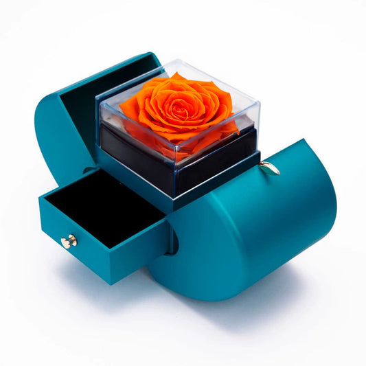 Apple Gift Box Eternal Love: Orange Rose Edition - Imaginary Worlds