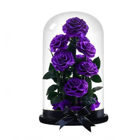 9 Purple Rose Set - Imaginary Worlds