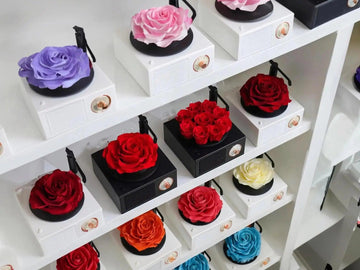 5 Reasons Why a Rose Bluetooth Speaker Is the Perfect Romantic Gift - Imaginary Worlds