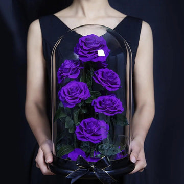 9 Rose Set by Imaginary Worlds: A Cultural Exploration of Red, Black, and Purple Roses - Imaginary Worlds