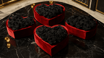 How to Store Preserved Roses for Timeless Beauty - Imaginary Worlds