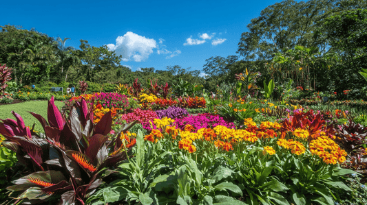 The Blossoming Beauty of Latin America's Flowers - Imaginary Worlds