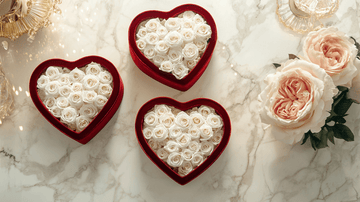 White vs. Red Roses for a Gemini Mom—Classic or Passionate? - Imaginary Worlds