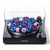 Blue and Purple Rose Vinyl Speaker