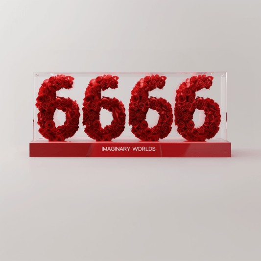 Angel Number 6666 Rose Box - Imaginary Worlds