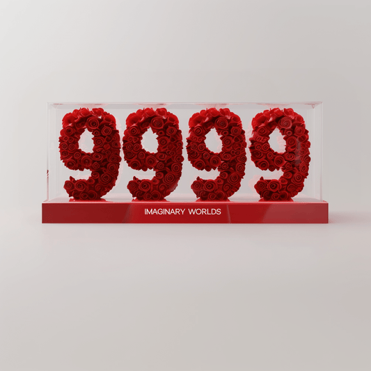 Angel Number 9999 Rose Box - Imaginary Worlds