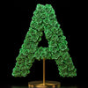 Apollo Green Rose Letter A Lamp - Imaginary Worlds