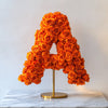 Apollo Orange Rose Letter A Lamp - Imaginary Worlds