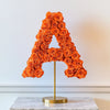 Apollo Orange Rose Letter A Lamp - Imaginary Worlds