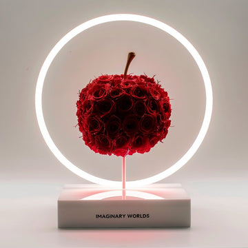 Apple of My Eye Rose Lamp - Imaginary Worlds