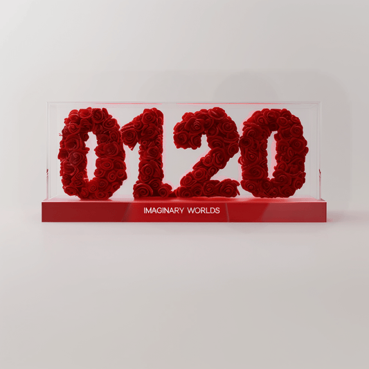 Aquarius 120 Rose Box – The Visionary’s Gift - Imaginary Worlds
