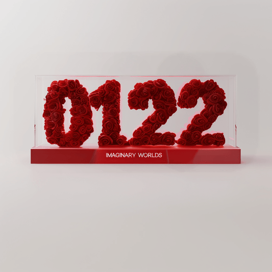 Aquarius 122 Rose Box – Transformation Gift - Imaginary Worlds
