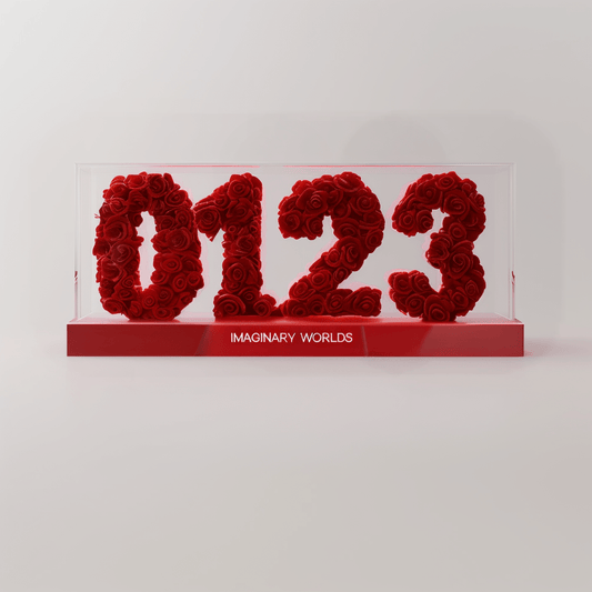 Aquarius 123 Rose Box – A Gift of the Future - Imaginary Worlds