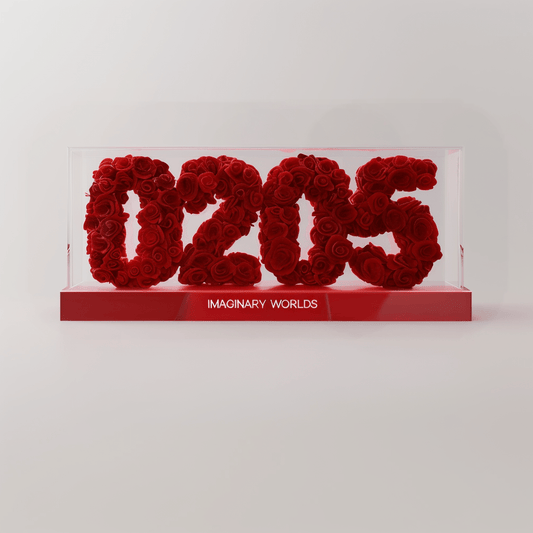 Aquarius 205 Rose Box – Innovation and Freedom Gift - Imaginary Worlds