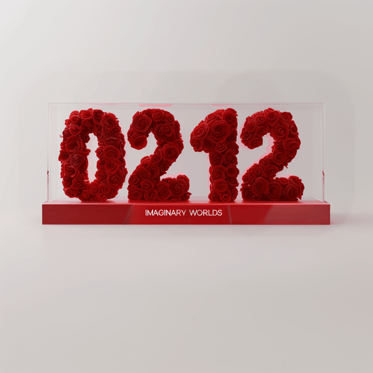 Aquarius 212 Rose Box – Visionary and Future - Focused Gift - Imaginary Worlds