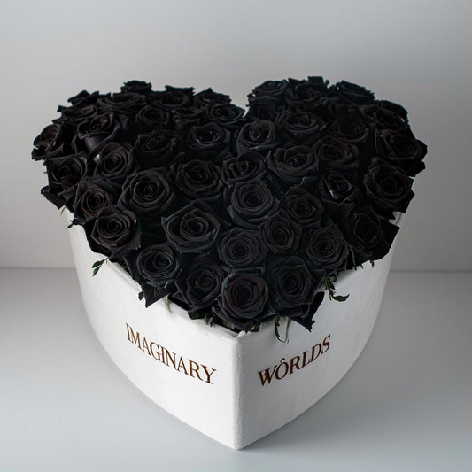 Black Roses in Heart - Shaped White Box - Imaginary Worlds