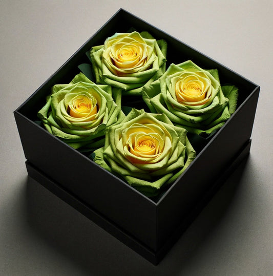 Chartreuse Preserved Roses in Modern Black Square Box - Imaginary Worlds