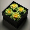 Chartreuse Preserved Roses in Modern Black Square Box - Imaginary Worlds