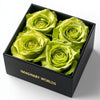 Chartreuse Preserved Roses in Modern Black Square Box - Imaginary Worlds