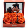 Customized Forever Orange Rose Box with Photo - Imaginary Worlds