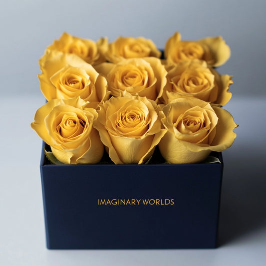 Customized Yellow Infinity Roses Box with Photo - Navy Blue Box - Imaginary Worlds