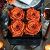 Dark Orange Forever Roses in Black Velvet Box - Imaginary Worlds