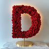 Demeter Red Rose Letter D Lamp - Imaginary Worlds