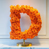 Dionysus Orange Rose Letter D Lamp - Imaginary Worlds