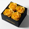 Ensemble of Yellow Forever Roses in Black Velvet Box - Imaginary Worlds