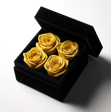 Ensemble of Yellow Forever Roses in Black Velvet Box - Imaginary Worlds