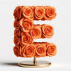 Eos Orange Rose Letter E Lamp - Imaginary Worlds