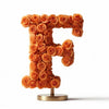 Fates Orange Rose Letter F Lamp - Imaginary Worlds