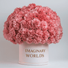 Forever Carnation Box – Pink Edition - Imaginary Worlds