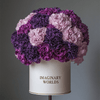 Forever Carnation Box – Pink & Purple Edition - Imaginary Worlds