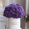 Forever Carnation Box – Purple Edition - Imaginary Worlds