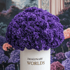 Forever Carnation Box – Purple Edition - Imaginary Worlds