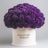 Forever Carnation Box – Purple Edition - Imaginary Worlds