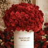 Forever Carnation Box – Red Edition - Imaginary Worlds