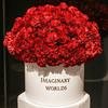 Forever Carnation Box – Red Edition - Imaginary Worlds