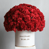 Forever Carnation Box – Red Edition - Imaginary Worlds