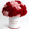Forever Carnation Box – Red & Pink Edition - Imaginary Worlds