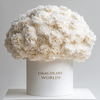 Forever Carnation Box – White Edition - Imaginary Worlds