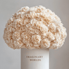 Forever Carnation Box – White Edition - Imaginary Worlds