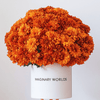 Forever Chrysanthemum Box – Orange Edition - Imaginary Worlds