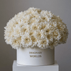 Forever Chrysanthemum Box – White Edition - Imaginary Worlds