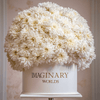 Forever Chrysanthemum Box – White Edition - Imaginary Worlds