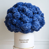 Forever Hydrangea Box – Blue Edition - Imaginary Worlds