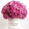 Forever Hydrangea Box – Pink Edition - Imaginary Worlds