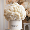 Forever Hydrangea Box – White Edition - Imaginary Worlds