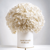 Forever Hydrangea Box – White Edition - Imaginary Worlds